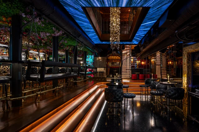 2024 – Zlatý Strom