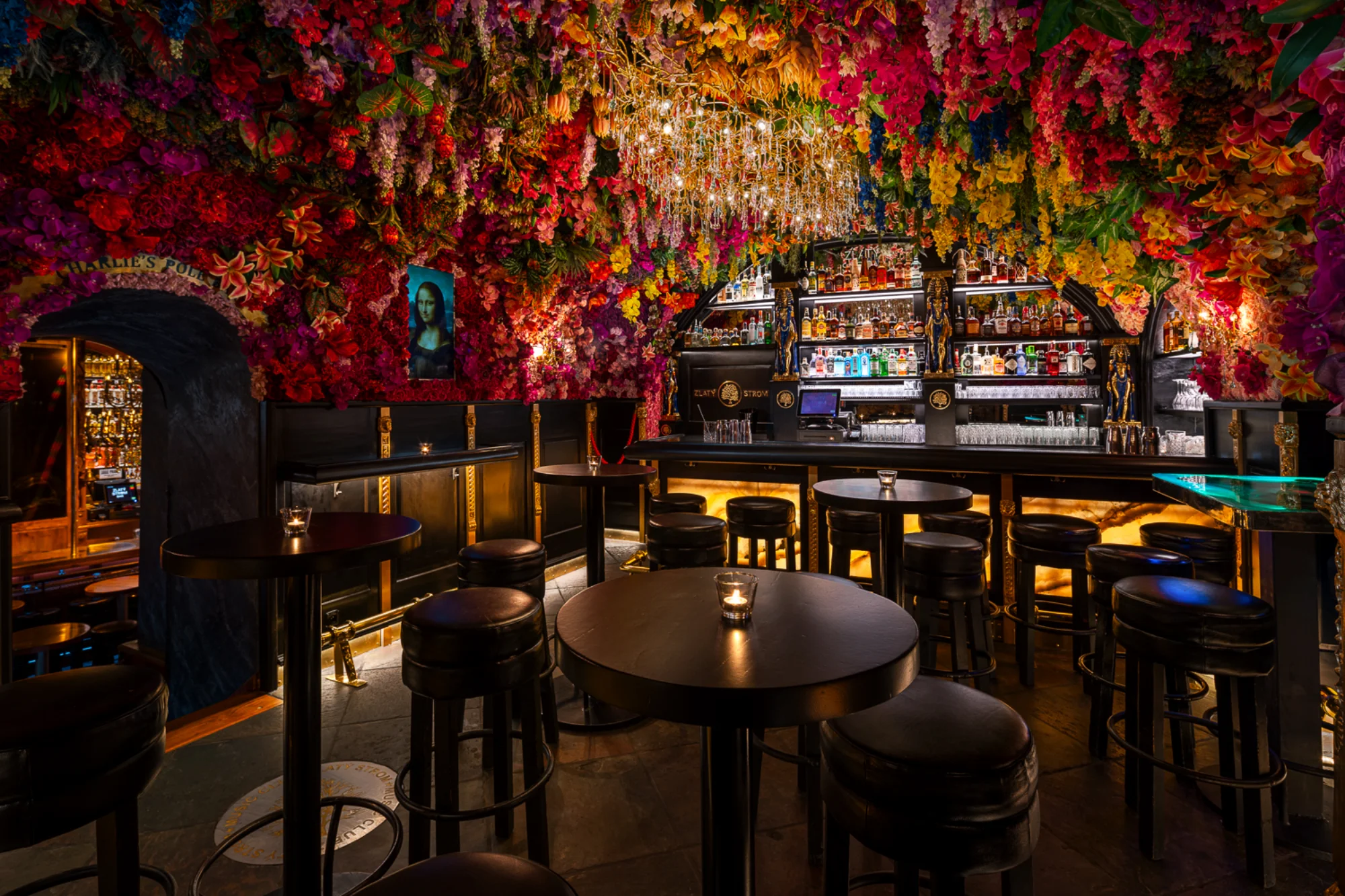 Voucher do Zlatý Strom Bar & Club – Noční dobrodružství