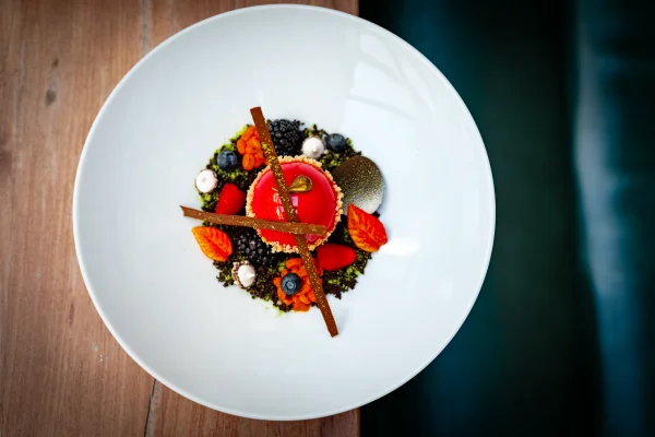 Mistrovství a kreativita.